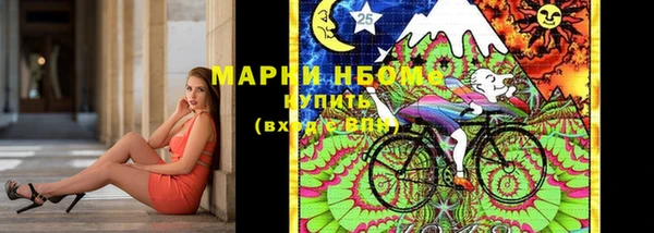 сатива Верея