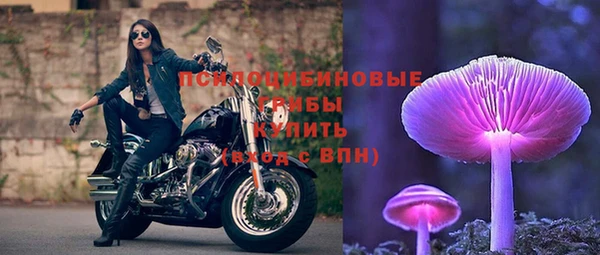 сатива Верея