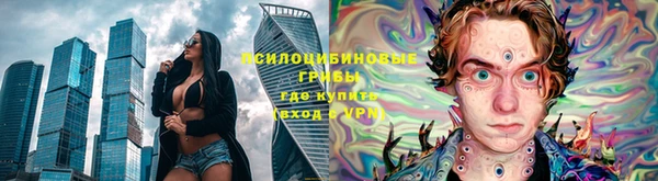 марки lsd Бородино