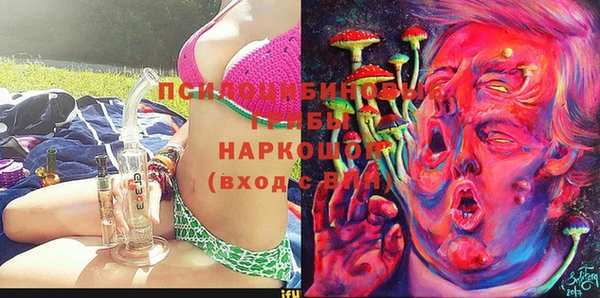 сатива Верея