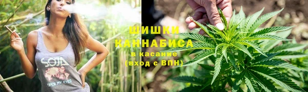 сатива Верея