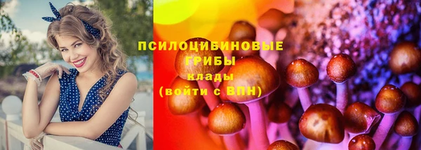 герыч Бугульма