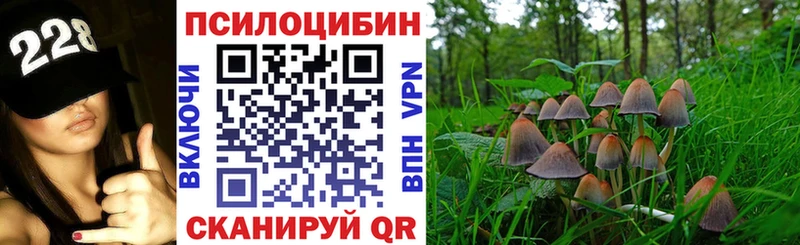 Псилоцибиновые грибы мухоморы  Кирсанов 